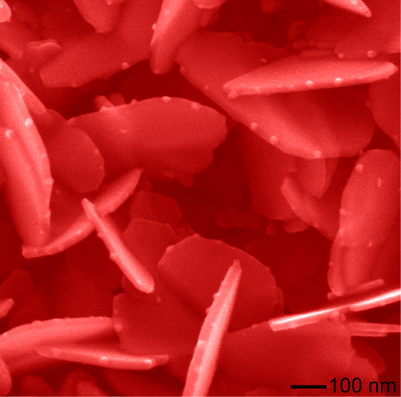 Illustration for article titled 27 Amazing Images From the Depths of Scientific Labs